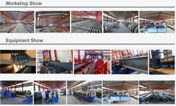Qingdao Xinguangzheng Husbandry Co.,  Ltd 工場生産ライン