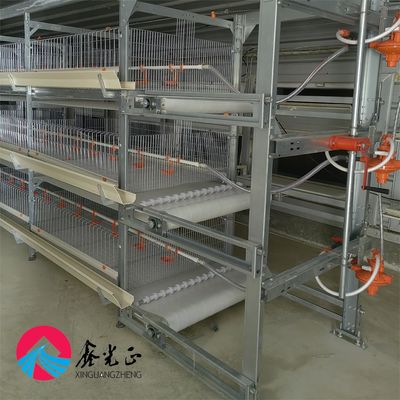 プリファブ 鉄鋼構造 繁殖家 ニワトリ屋 農業 家畜屋
