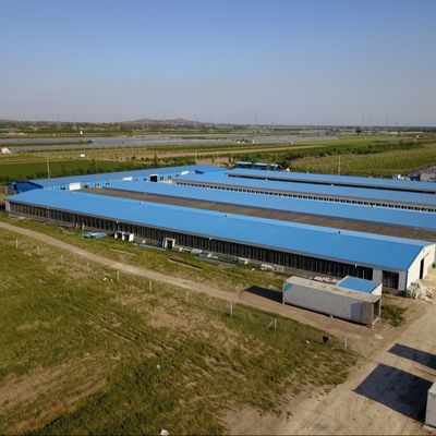鉄鋼板 畜産農場 鉄鋼構造 繁殖家 鶏家