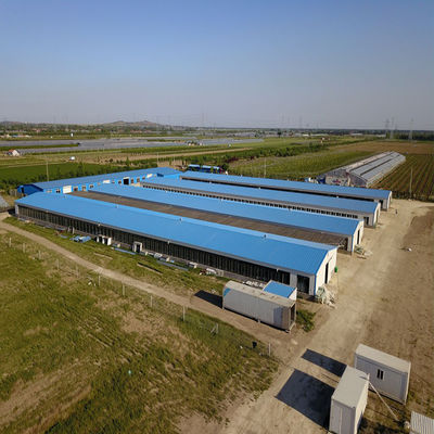 CE 家畜農場 鉄鋼構造 鶏家 鶏のための設備