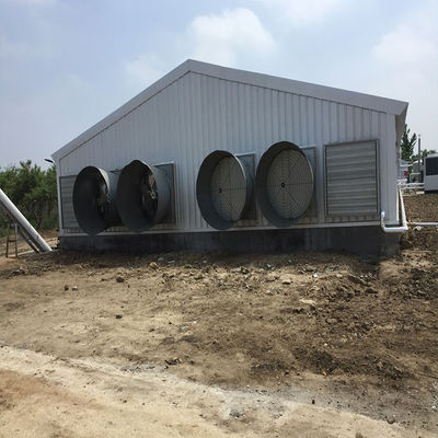 鶏場 鶏屋 軽量 プリファブリック 鋼鉄 構造 建物