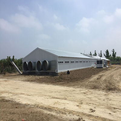 鶏場 鶏屋 軽量 プリファブリック 鋼鉄 構造 建物