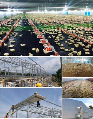 CE 家畜農場 鉄鋼構造 鶏家 鶏のための設備