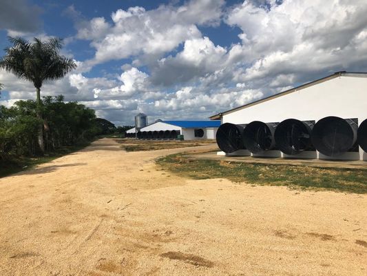 ISO 家畜農場 プリファブリック 鉄鋼構造 家禽農場