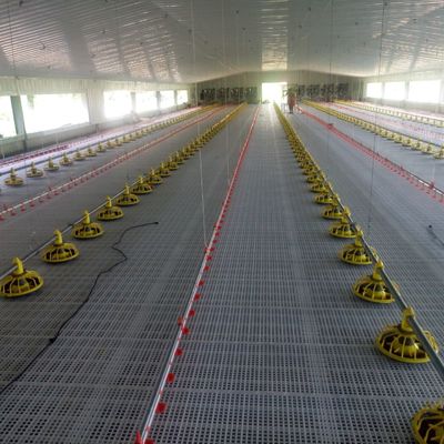 プラスチック製の家禽飼育で,家禽飼育の最適化