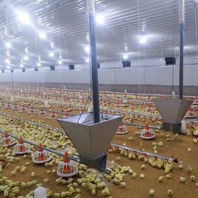 耐腐食性のある長持ちの肉・鶏肉床システム / プラスチック素材