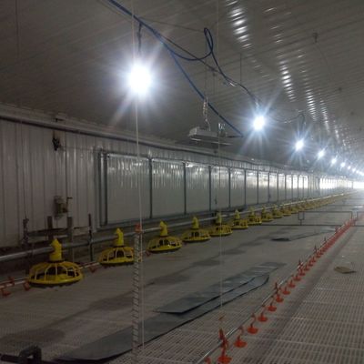 高性能のための抗滑りブロイラー床システム標準