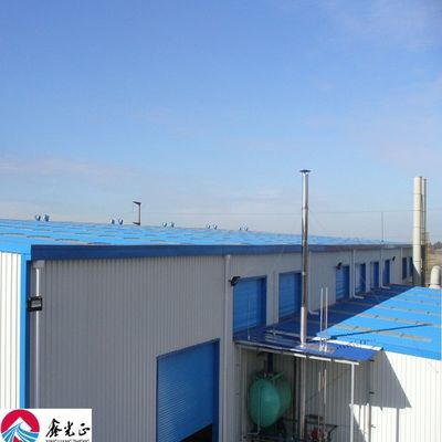 自由デザインの耐久性のある鋼筋構造の倉庫