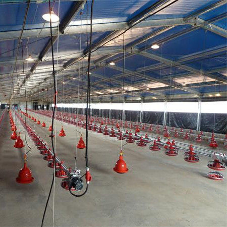 牛飼育生産ラインのための優れた換気相互接続ブロイラー床システム