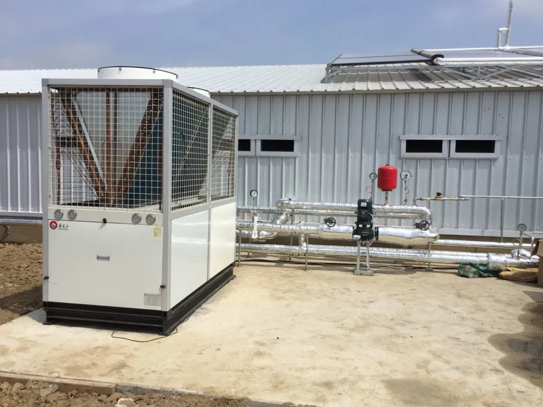 CE 家畜農場 鉄鋼構造 鶏家 鶏のための設備 3