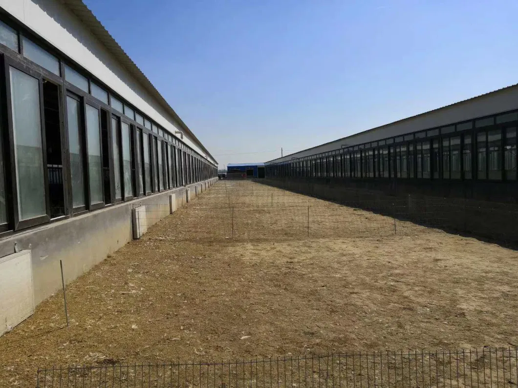 CE 家畜農場 鉄鋼構造 鶏家 鶏のための設備 4