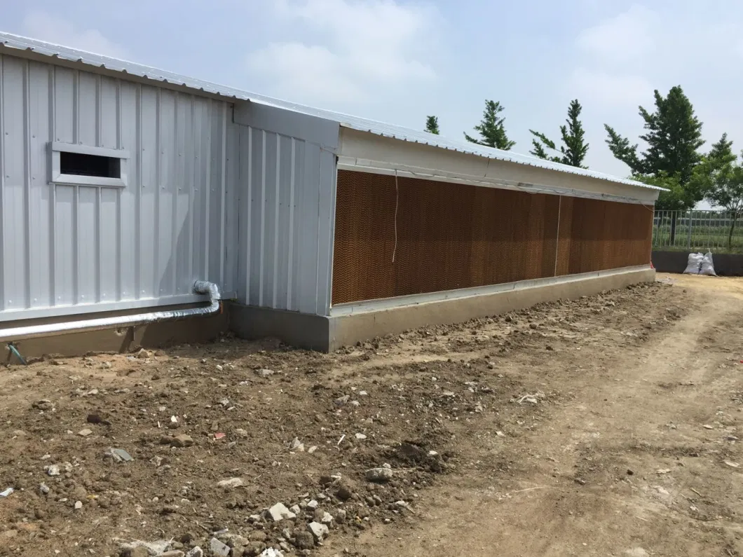 CE 家畜農場 鉄鋼構造 鶏家 鶏のための設備 10